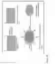 Fig. 06 - NOVEL HEMOSTATIC PATCH AND USES THEREOF