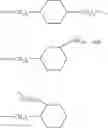 Fig. 10 - BIOABSORBABLE COATING FOR BIOABSORBABLE STENT