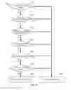 Fig. 10 - Operating multi-modal medicine delivery systems
