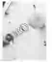 Fig. 05 - Hypodermic Syringe Applicator Assist Device