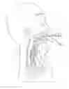 Fig. 01 - Apparatus and method for improved assisted ventilation