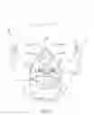 Fig. 12 - FACIAL ACCESS OXYGEN FACE MASK AND COMPONENT SYSTEM