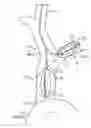 Fig. 01 - SYSTEMS AND METHODS FOR NEUROMODULATION OF SYMPATHETIC AND PARASYMPATHETIC CARDIAC NERVES