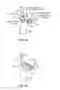 Fig. 08 - SYSTEMS AND METHODS FOR NEUROMODULATION OF SYMPATHETIC AND PARASYMPATHETIC CARDIAC NERVES