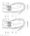 Fig. 66 - Inflatable medical devices