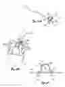 Fig. 06 - Tissue fixation and repair systems and methods