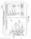 Fig. 13 - COLLECTION OF CLINICAL DATA FOR GRAPHICAL REPRESENTATION AND ANALYSIS