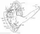 Fig. 01 - High load descender with adaptive release linkage
