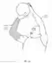 Fig. 05 - Monitoring performance and generating feedback with athletic-performance models