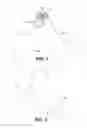 Fig. 02 - Monofin, tail and method