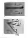 Fig. 07 - FOLDABLE FIELDING NET