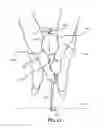 Fig. 22 - Golf swing plane training aid device