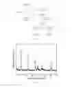 Fig. 02 - Method for extracting magnesium and lithium and producing layered double hydroxide from brine