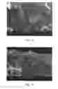 Fig. 02 - Zeolite membrane, production method therefor, and separation method using same