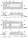Fig. 46 - Cartridges For Detecting Target Analytes In A Sample And Associated Methods