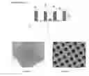 Fig. 03 - Microsieve diagnostic device in the isolation and analysis of single cells