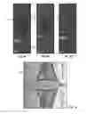 Fig. 07 - ENHANCED CELL/BEAD ENCAPSULATION METHODS AND APPARATUSES