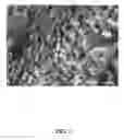 Fig. 04 - Filtration materials using fiber blends that contain strategically shaped fibers and/or charge control agents