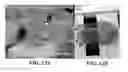 Fig. 20 - Electrically-driven fluid flow and related systems and methods, including electrospinning and electrospraying systems and methods