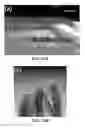 Fig. 23 - Electrically-driven fluid flow and related systems and methods, including electrospinning and electrospraying systems and methods