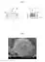 Fig. 02 - POWDER MATERIAL FOR POWDER ADDITIVE MANUFACTURING AND POWDER ADDITIVE MANUFACTURING METHOD USING SAME