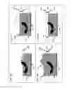Fig. 27 - Apparatuses, systems and methods for three-dimensional printing