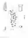 Fig. 09 - Marsupial Robotic System