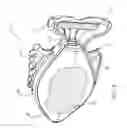 Fig. 09 - ERGONOMIC SHAVING RAZOR
