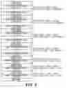 Fig. 06 - CUTTING DATA CREATION METHOD, CUTTING DATA CREATION DEVICE, AND COMPUTER-READABLE RECORDING MEDIUM