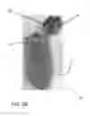Fig. 17 - Method and Apparatus for Forming Blow Molded Vessels