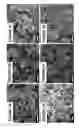 Fig. 03 - COATINGS AND COATED SURFACES WITH SELECTED SURFACE CHARACTERISTICS AND FEATURES