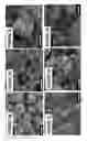 Fig. 04 - COATINGS AND COATED SURFACES WITH SELECTED SURFACE CHARACTERISTICS AND FEATURES