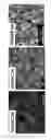 Fig. 05 - COATINGS AND COATED SURFACES WITH SELECTED SURFACE CHARACTERISTICS AND FEATURES