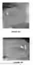 Fig. 15 - COATINGS AND COATED SURFACES WITH SELECTED SURFACE CHARACTERISTICS AND FEATURES