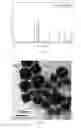 Fig. 09 - ULTRAVIOLET AND INFRARED ABSORBING POLYMERIC FILMS AND LAMINATES
