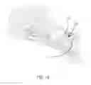 Fig. 14 - Frame for Aiding in Screen Protector Application