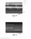 Fig. 04 - Inorganic multilayer lamination transfer films