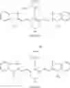 Fig. 25 - LITHOGRAPHIC PRINTING PLATES PRECURSORS COMPRISING A RADIATION SENSITIVE IMAGEABLE LAYER WITH A CROSSLINKED SURFACE