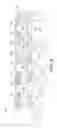 Fig. 13 - Fluid dispenser