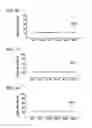 Fig. 15 - Liquid ejecting apparatus and liquid ejecting method