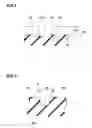 Fig. 04 - Pneumatic tire