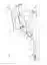 Fig. 08 - Work vehicle having engine mounted thereto