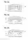 Fig. 06 - Vehicular image display device and vehicular image display method