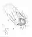 Fig. 06 - Tractor headlight device
