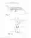 Fig. 09 - Cart with tilting supports