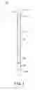 Fig. 02 - Torque stick apparatus and methods of use
