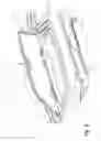 Fig. 09 - Two-wheeled vehicle