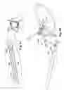 Fig. 20 - Articulated two-wheeled vehicles