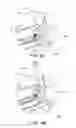Fig. 05 - Scooter