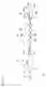 Fig. 33 - Float mooring method, mooring member, and method of recovering same